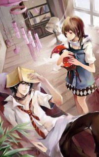 精灵宝可梦之创世狂想曲