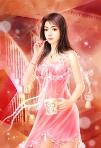 正气寻妇录